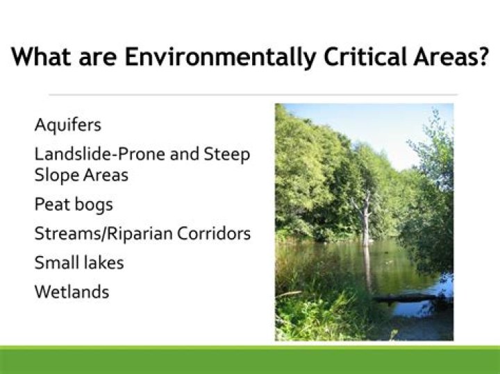 What is environmentally critical area?