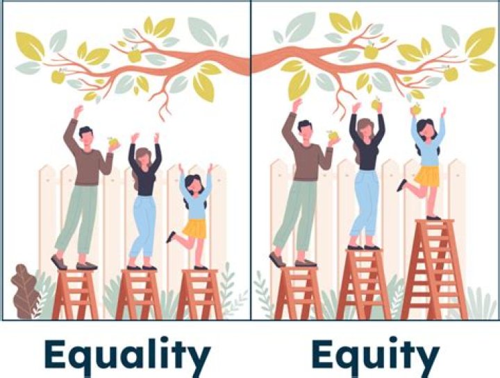 What is equity another name for?