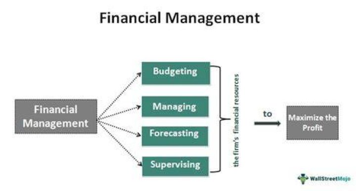 What is financial management example?