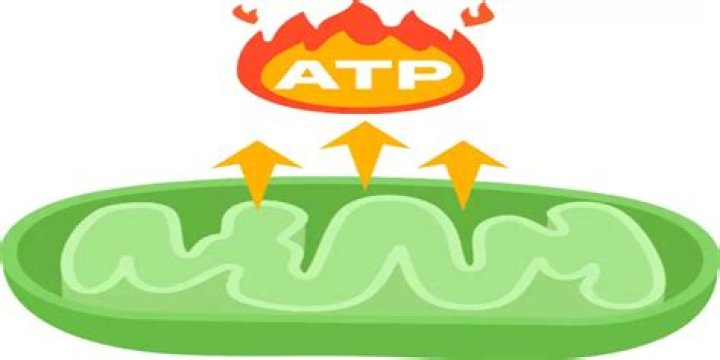 What is full form of AAT?