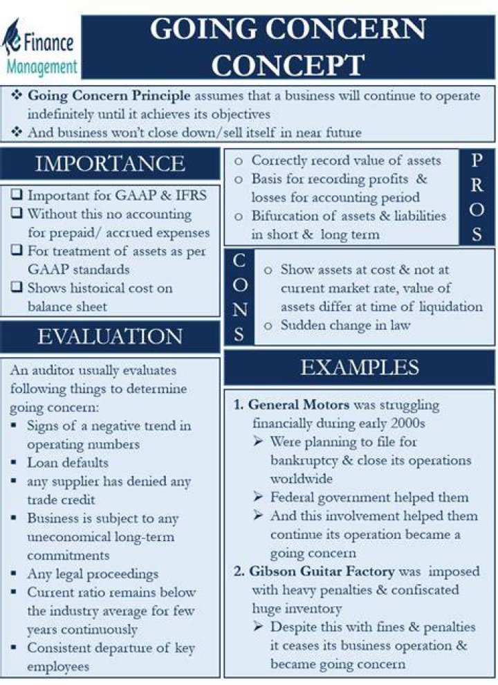What is going concern principle with example?