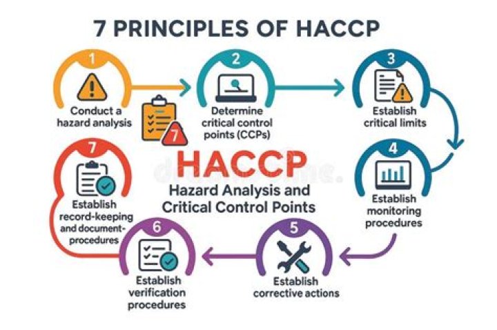 What is HACCP in simple terms?