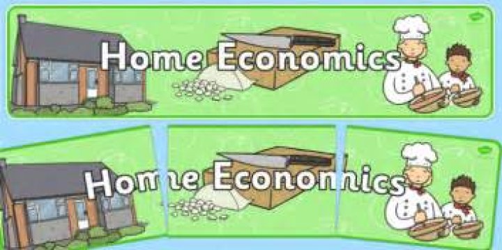 What is home economics course?