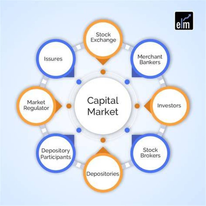 What is included in capital contribution?