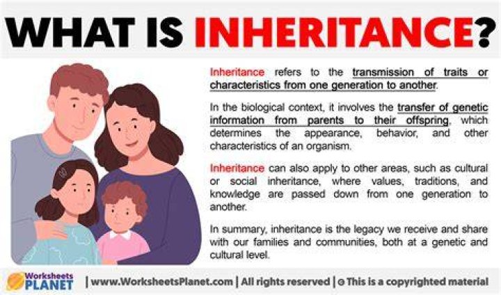 What is inherit and example?