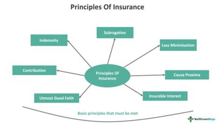 What is insurance and explain the principles of insurance?
