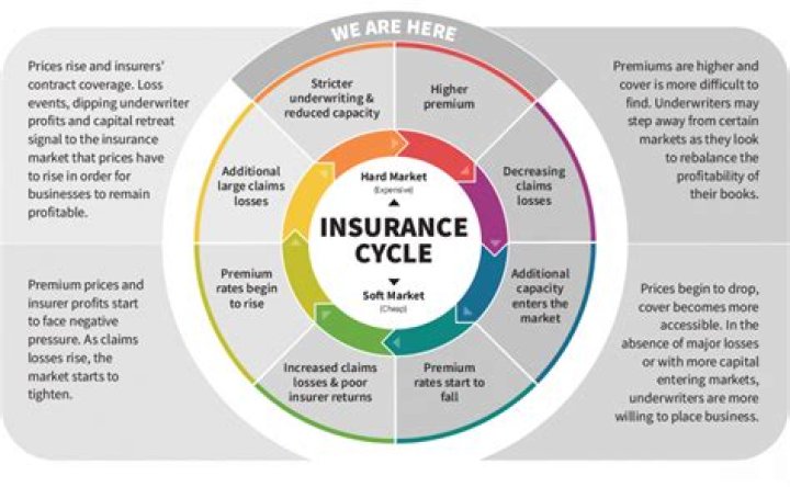 What is insurance policy life cycle?