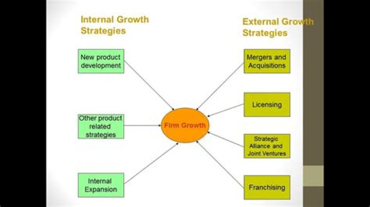 What is internal growth in a business?