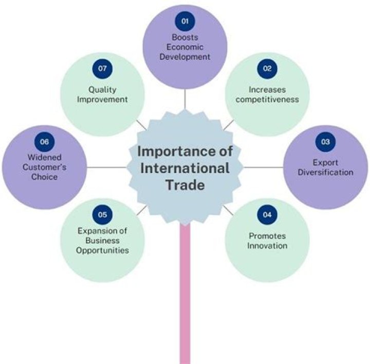What is international trade and its importance?