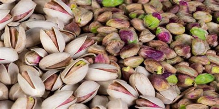 What is Iran famous for producing?