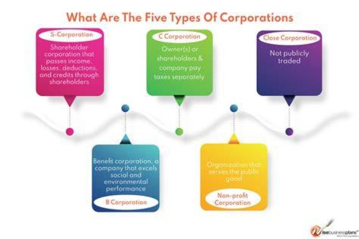 What is it called when a corporation is the government?
