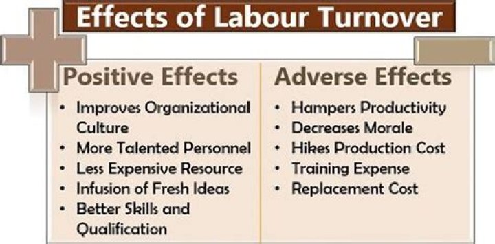 What is labour turnover What are its causes?