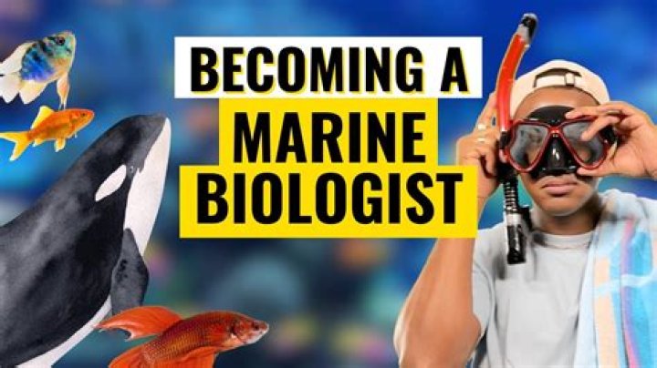 What is Marine GL?