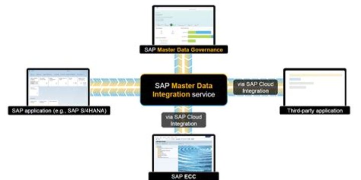 What is master client in SAP?