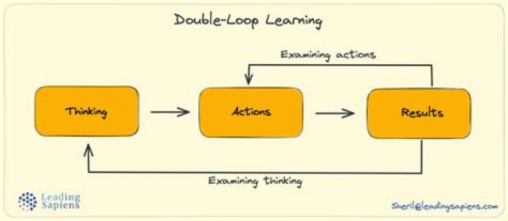 What is meant by double loop learning?