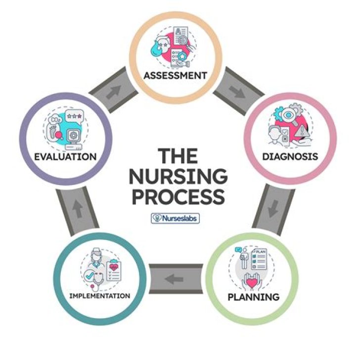 What is meant by nursing profession?