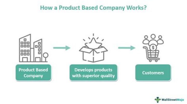 What is meant by product company?