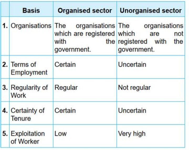 What is meant by unorganised sector class 10?