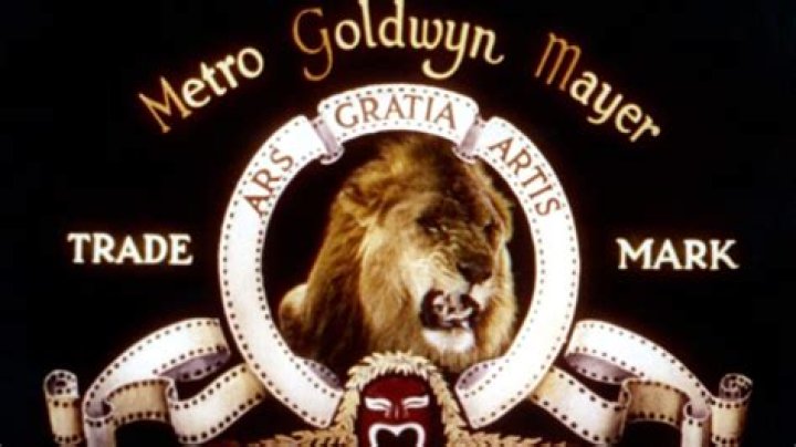 What is Metro Goldwyn Mayer net worth?
