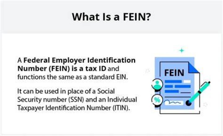What is my LLC Fein number?