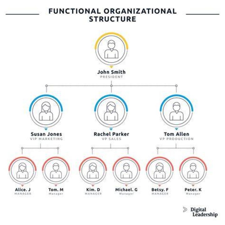 What is my professional organization?