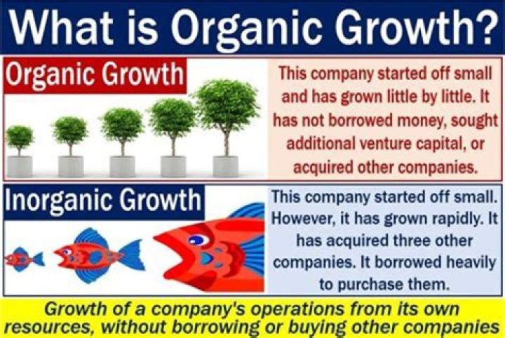 What is negative organic growth?