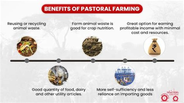 What is not produced by pastoral based industries?