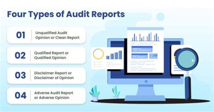 What is other information in audit report?
