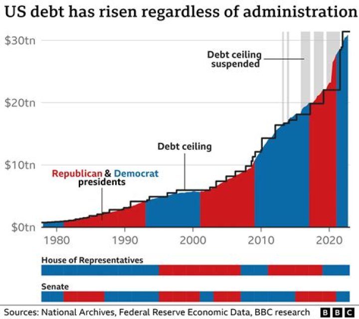 What is overlapping debt?