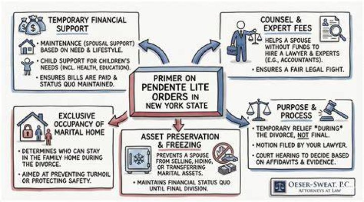 What is pendente lite support?