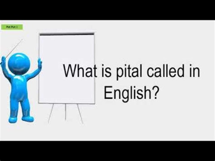 What is pital called in English?