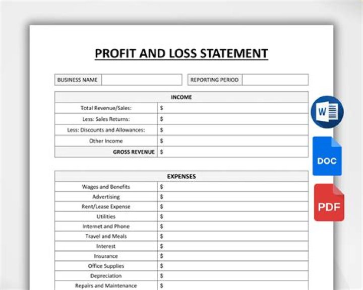 What is profit and loss statement PDF?
