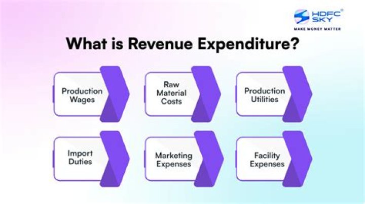 What is revenue expenditure give an example?
