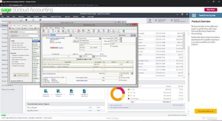 What is Sage Software Good For?