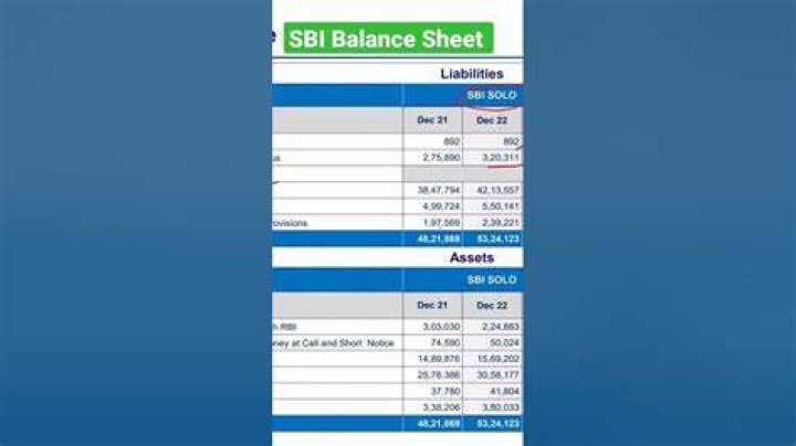 What is shadow balance in SBI?