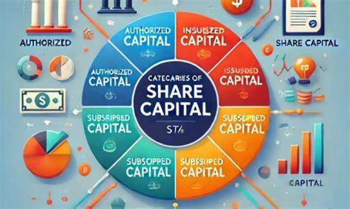 What is share capital used for?