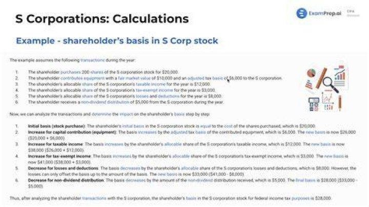 What is shareholder basis S Corp?