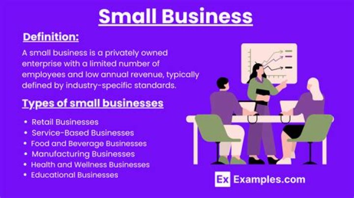 What is small business 8a?