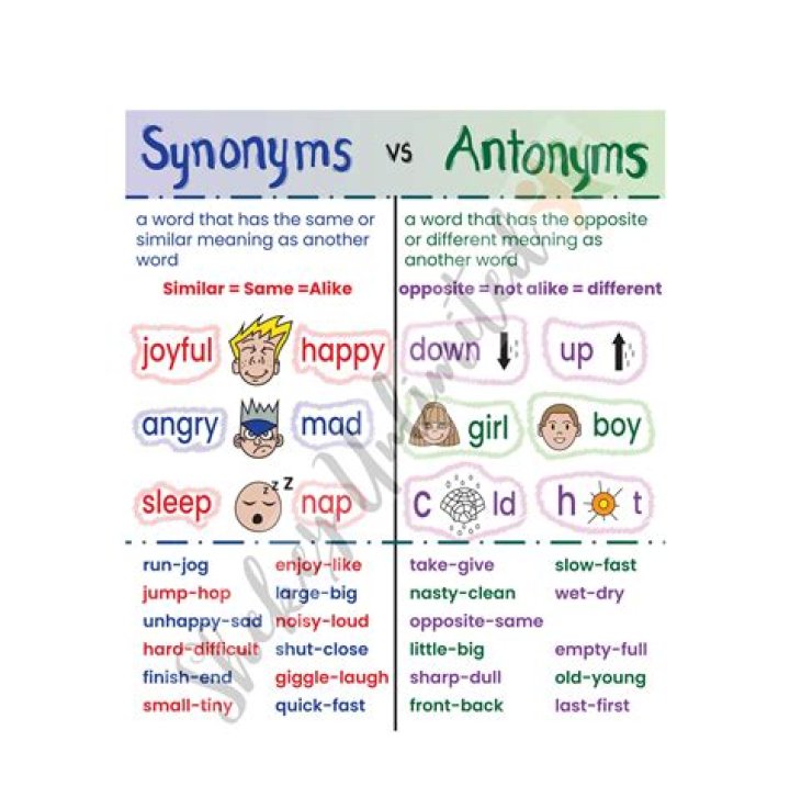 What is synonym of auction?