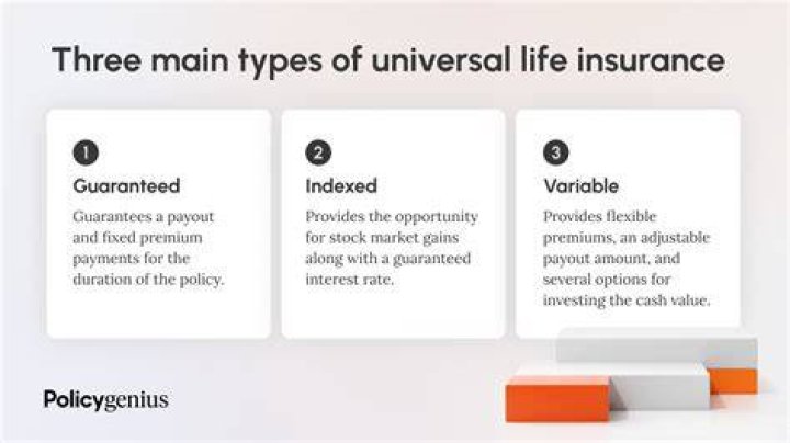 What is the advantage of universal life insurance?