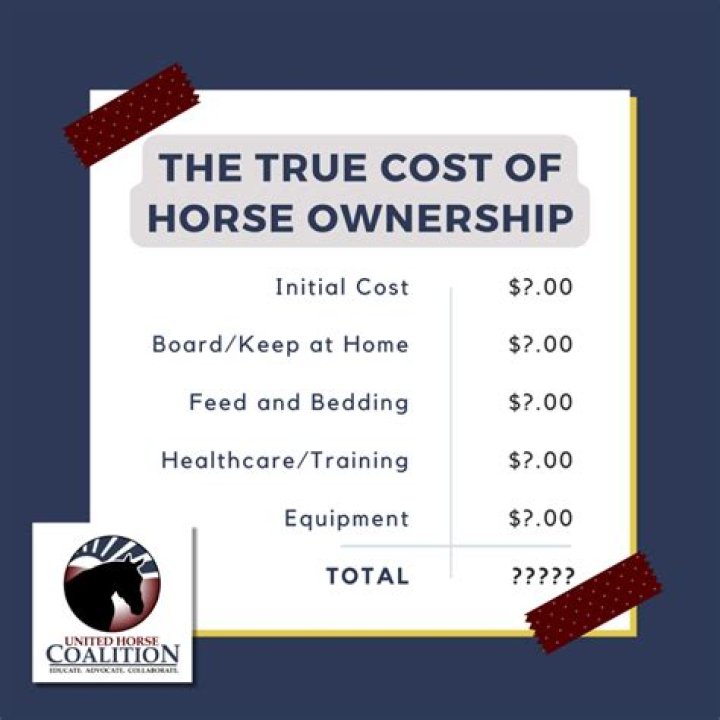 What is the annual equine industry worth?