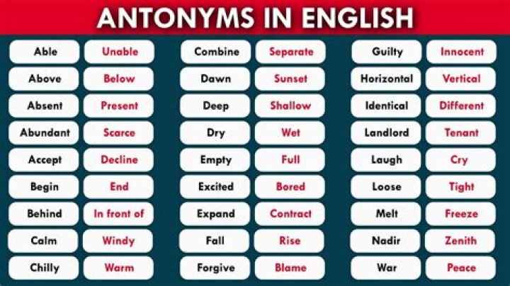 What is the antonym for criticism?