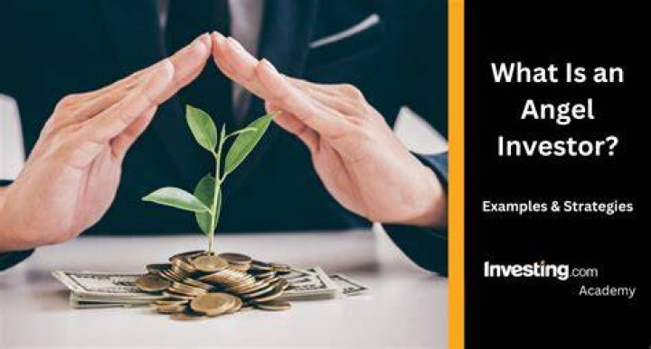 What is the average return for an angel investor?