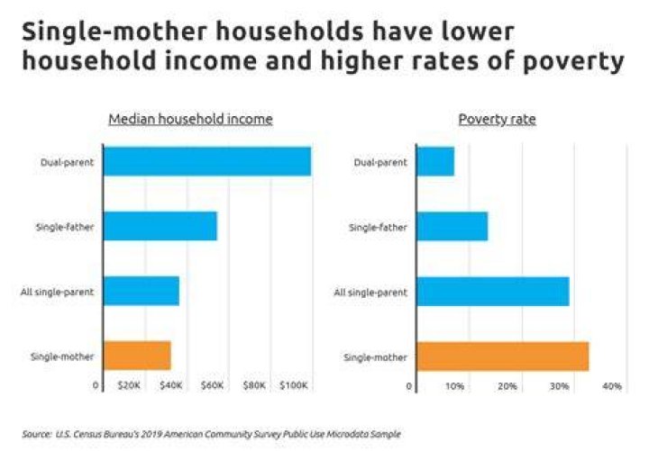 What is the average single parent household income?