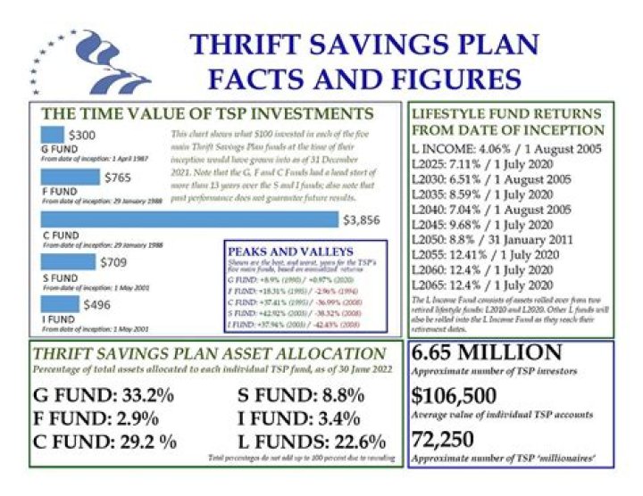 What is the best fund for Thrift Savings Plan?