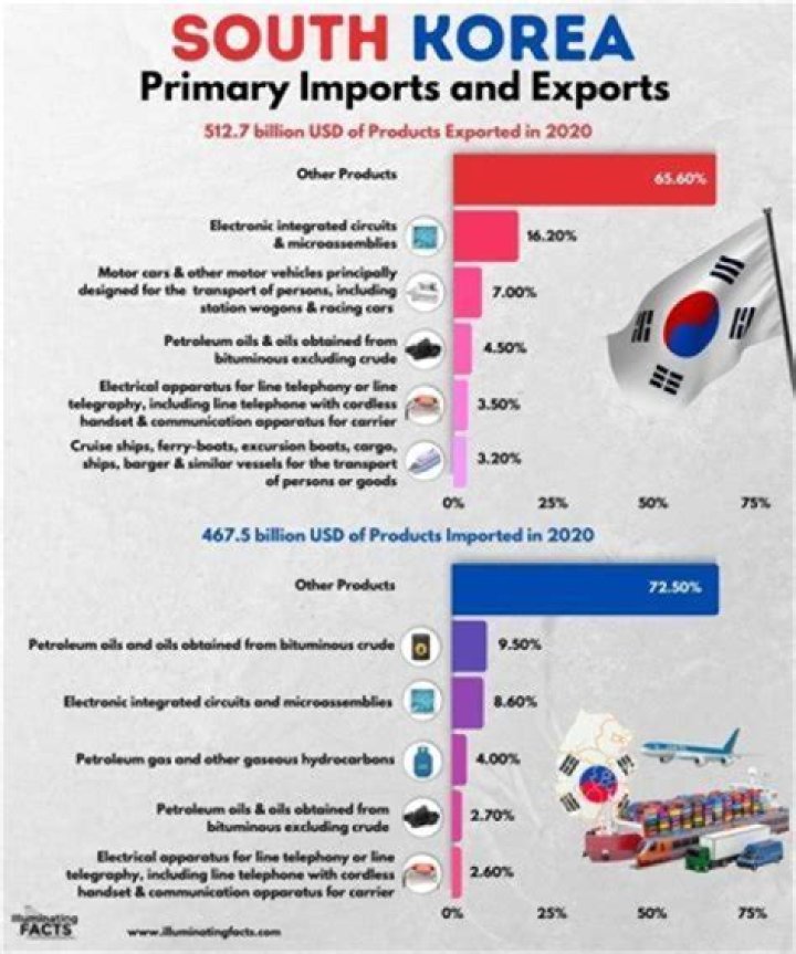 What is the biggest import of South Korea?