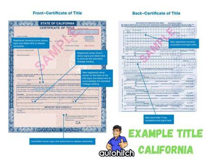 What is the CA Form 100?