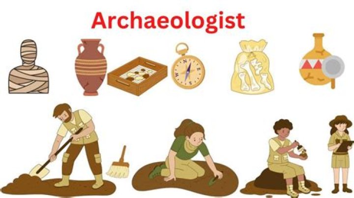 What is the daily job of an archaeologist?