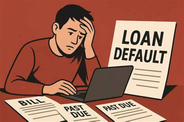 What is the default rate on loans?
