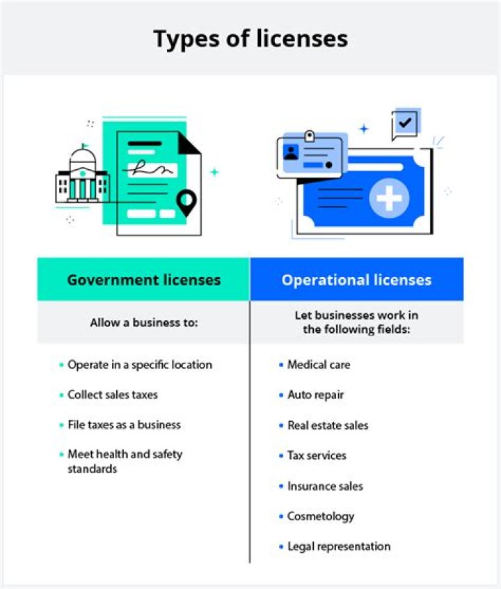 What is the difference between a business license and a professional license?